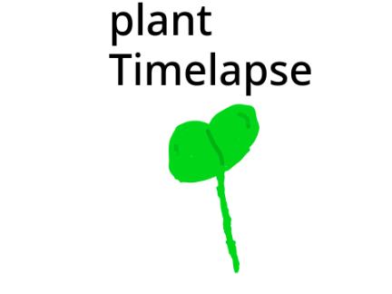 Plant timelapse 2