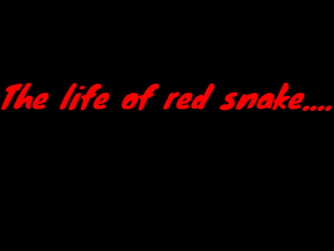 the life of red snake