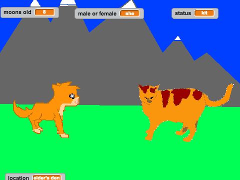 Warrior cats: the game