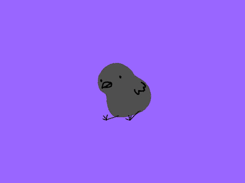 Doodle Crow Spinning!