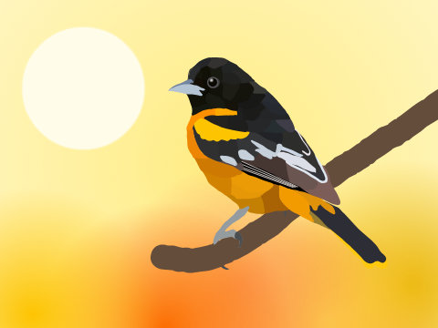 Baltimore Oriole art