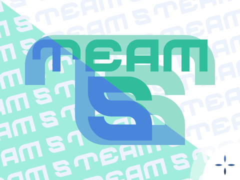 Team S Branding