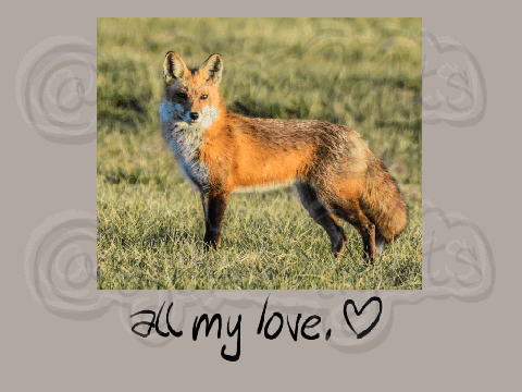 fox therian.