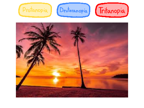 Color Blind Simulator (Prototype)