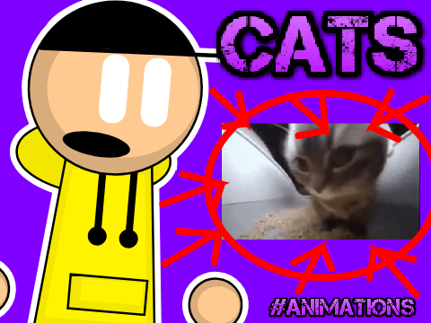 CATS | #Animations #All