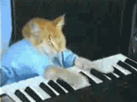 Play Him Off, Keyboard Cat!