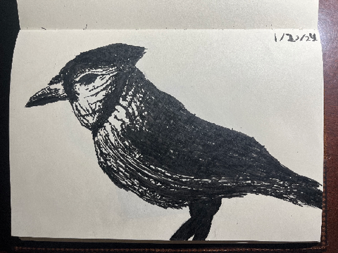 Blue Jay