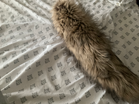 Tail!