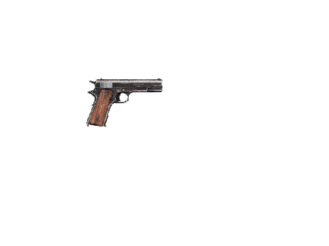 Gun Test