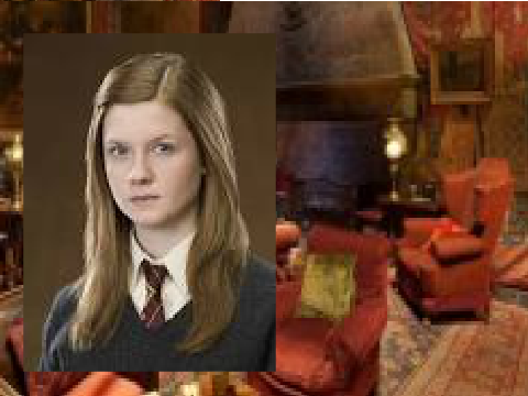 Talk to Ginny Weasley/Potter