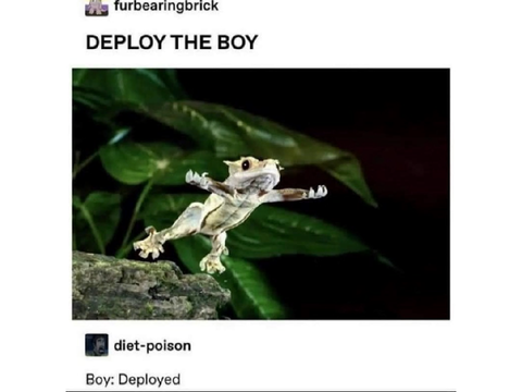 le frogge :)