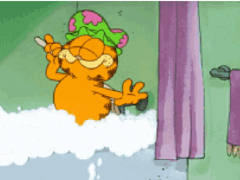 Garfield Likes To Be Clean Too