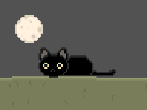 a cat for biofish