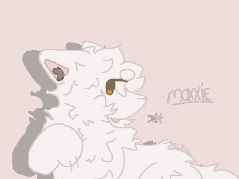 ✽ moxxie.