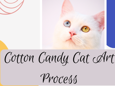 Cotton Candy Cat Art Process