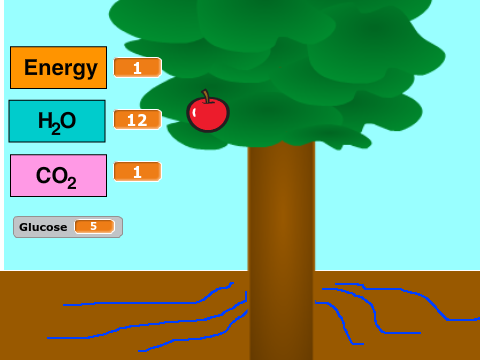 Photosynthesis Starter Project remix