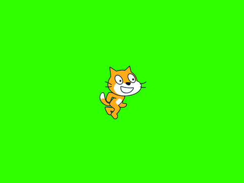 滑らかにWALKする猫
