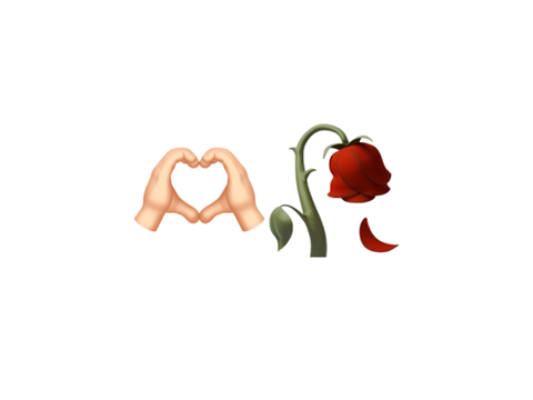 not all flowers last long ~goodbye </3