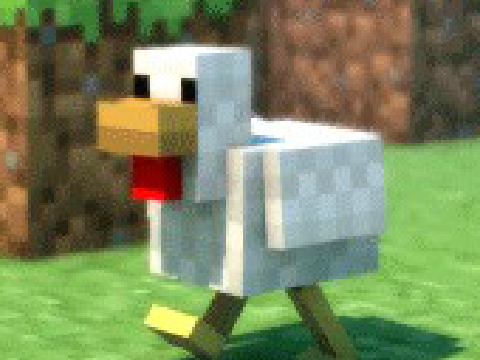 Life Of A Determined Chicken