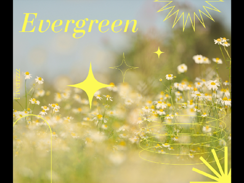 001 ⯌ Evergreen