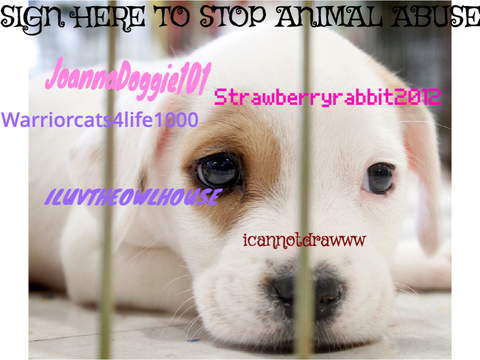 SIGN HERE TO STOP ANIMAL ABUSE  remix remix remix