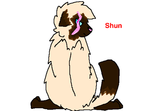Shattered-Returning Comic/Animation