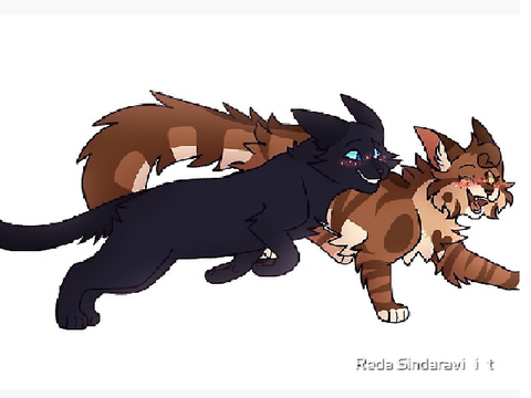{:+CROWPOOL SHIP+:}