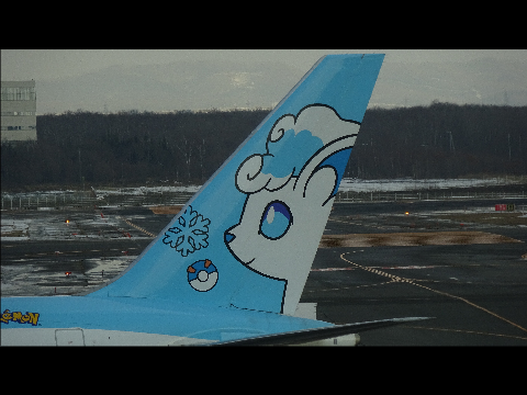 ロコンジェット垂直尾翼