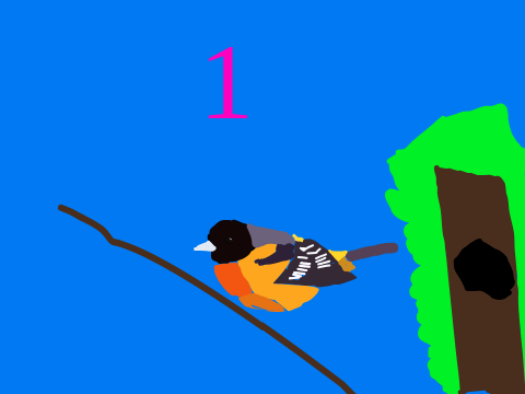 700 followers Bird Drawing Contest! PGs needed! remix