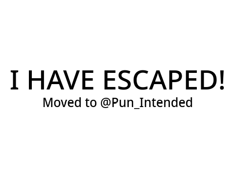 NEW ACCOUNT @Pun_Intended