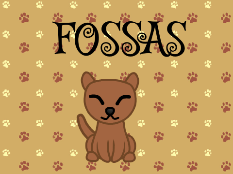 All About Fossas