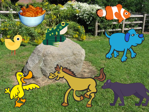 Zoo