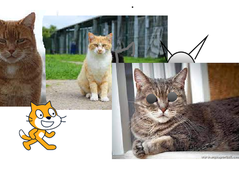 Chat Chat Chat Chat