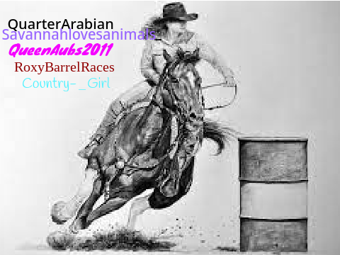 Sign if you: Love Barrel Racing  remix