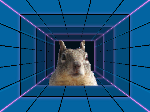 Squirrel run