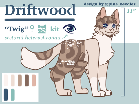 ✦ driftwoodscout┋2024 reference ✦