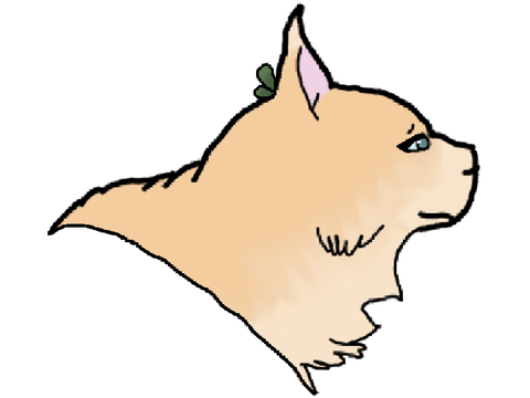 Art for @WCVND