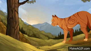 Star walkin' - Lionheart Warrior Cats AMV