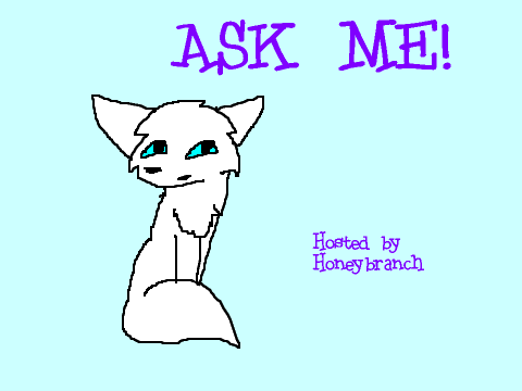 Ask Me! remix