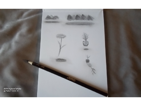 Black doodles