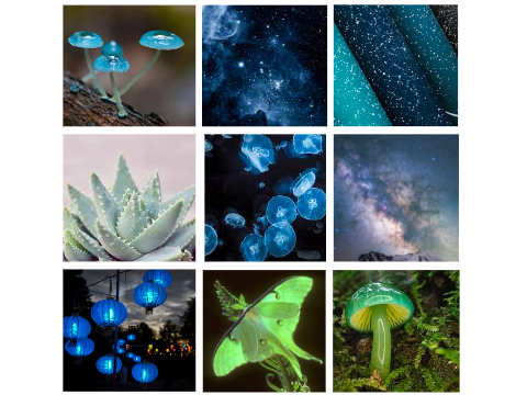 F2U Moodboards