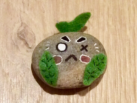 my pet rock!