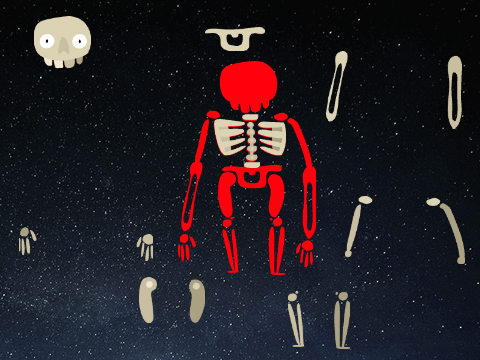 JE Bones