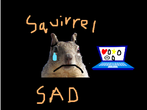 Squirrel sad