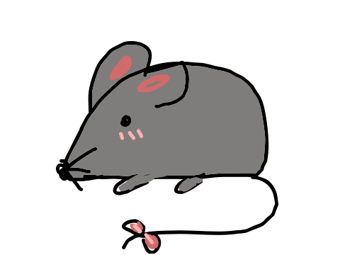 MY MOUSE