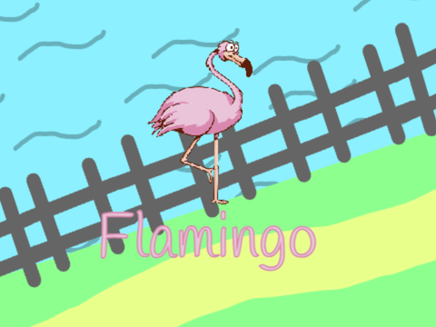 Flamingo