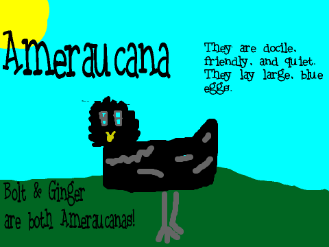 A Few Chickens!