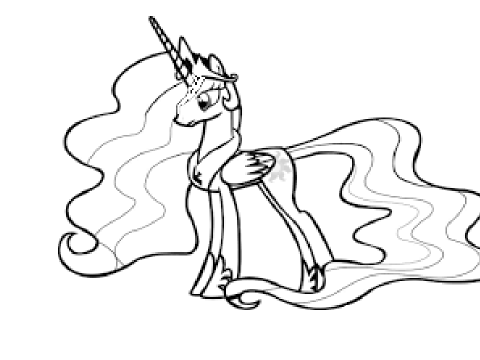 pony CC