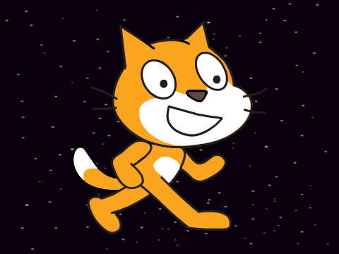 Cat Dissapearing