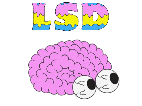 LSD - No New Friends remix